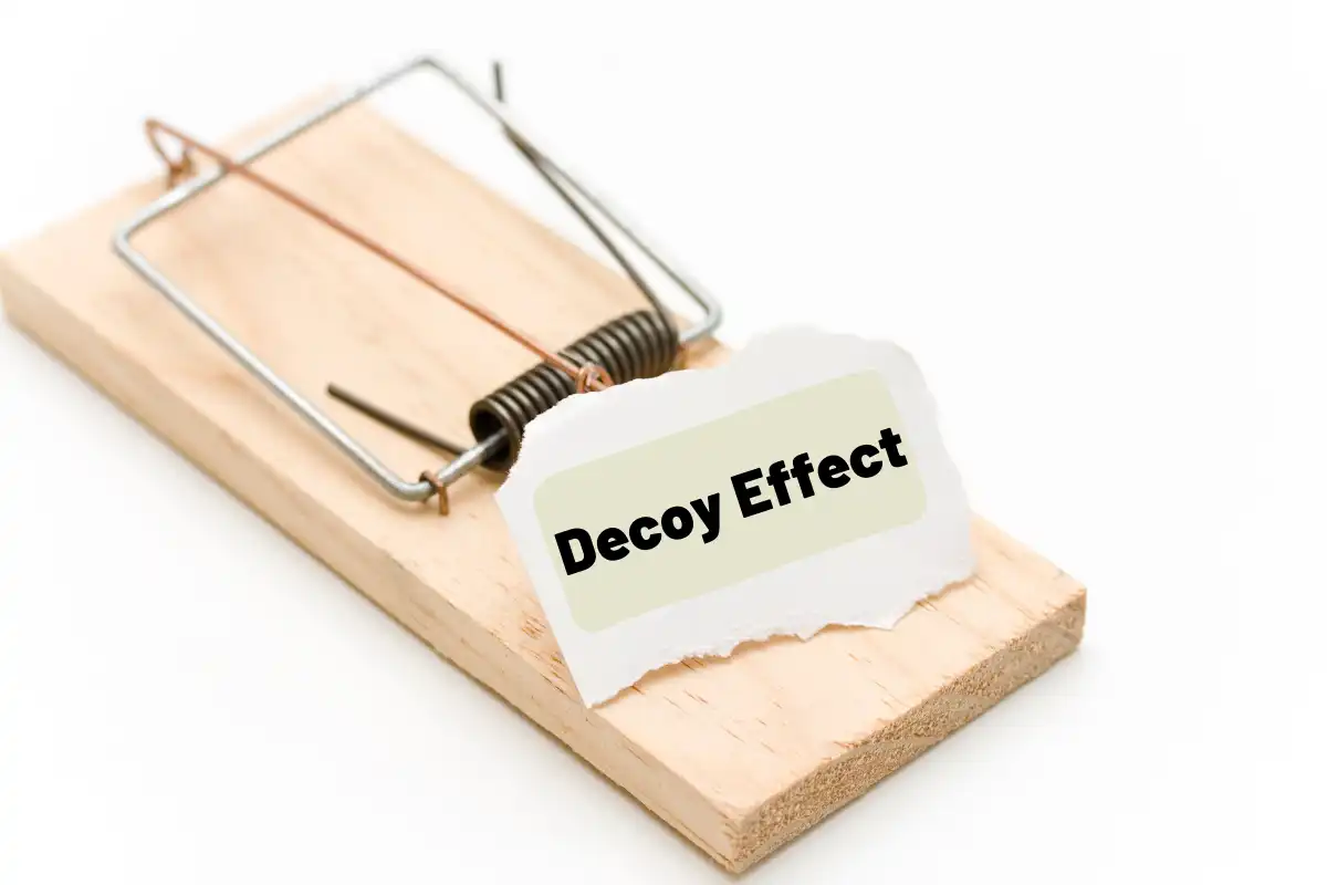 Decoy Effect