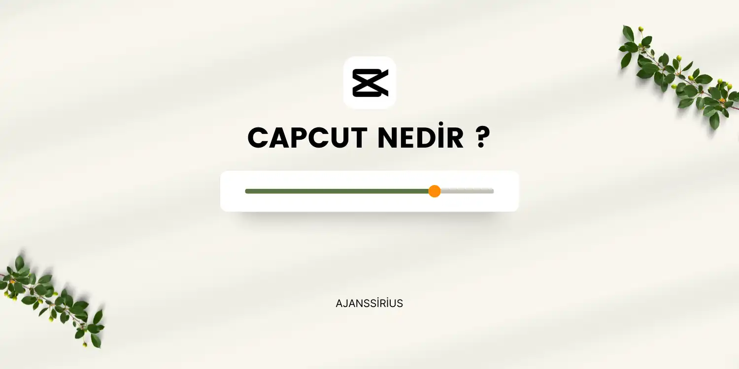 Capcut Nedir (2)