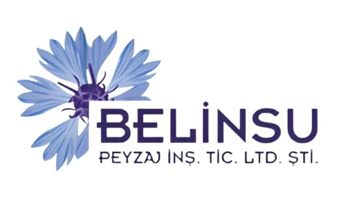 belinsu-logo